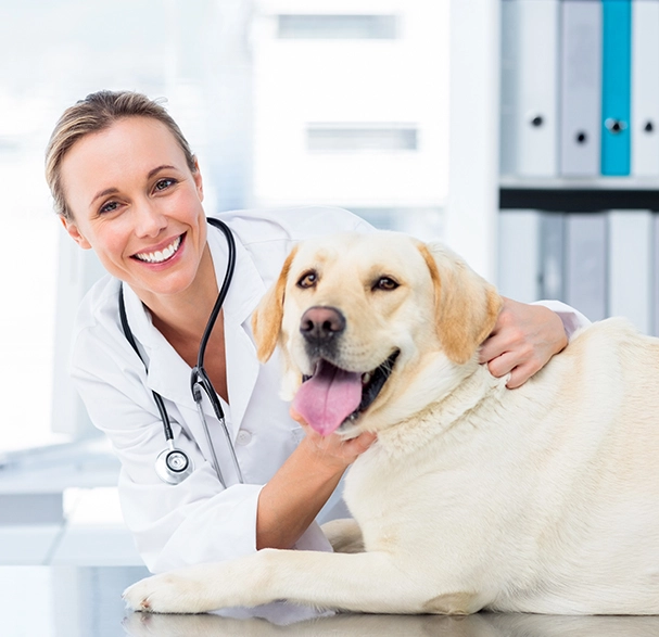 smiling dog with veterinarian